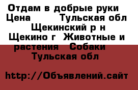 Отдам в добрые руки › Цена ­ 50 - Тульская обл., Щекинский р-н, Щекино г. Животные и растения » Собаки   . Тульская обл.